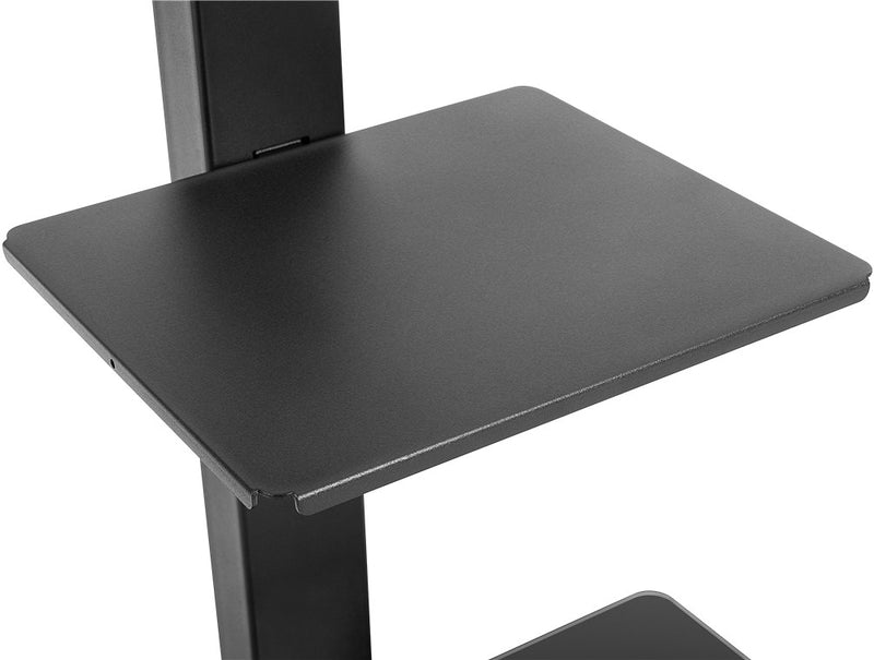 Goobay TV Floor Stand Basic (Size L) for TVs and monitors between 37" and 70"