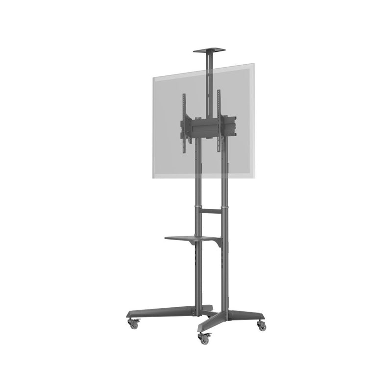 Goobay TV Presentation Stand Pro (Size L) for TVs and monitors between 37" and 70"